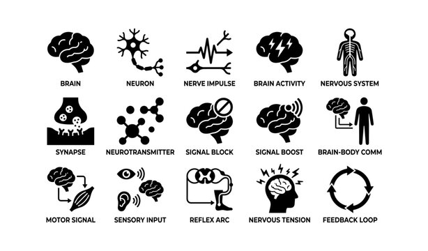 Brain and nervous system icons: neuron, synapse, signal, reflex, neurotransmitter
