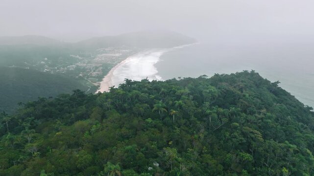 Forested ridge with beach and coast near Ingleses, Brazil