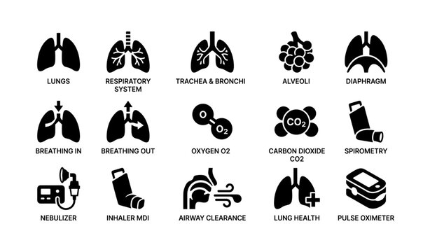Respiratory system icons - lungs, trachea, alveoli, diaphragm, oxygen, spirometry devices