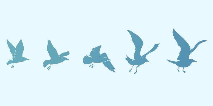 Silhouette variations in the motion of a flapping bird on a pale blue-green background