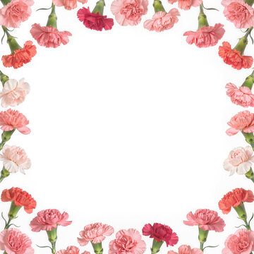 carnation frame