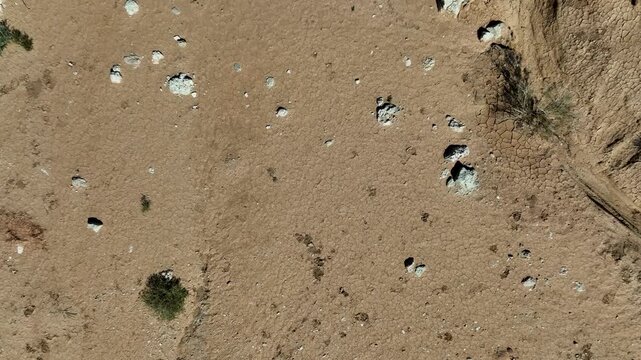 Drone lowering with flatlay perspective revealing sandy ground with dried channels, sparse desert plants transitioning to barren cracked soil in Altyn Emel National Park, Kazakhstan. Aerial footage
