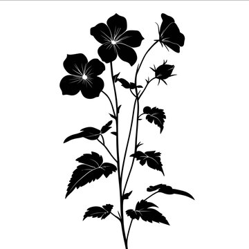 black silhouette wallflower on a white backgrounk vector