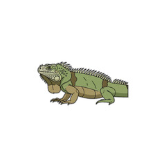 Obraz premium Green Iguana Reptile Side View Portrait.