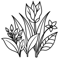 Fototapeta premium plants and flowers line art vector
