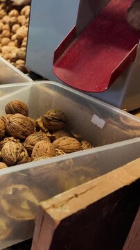 Vertical Shot of Walnut Cracking Machine in Nut Shop