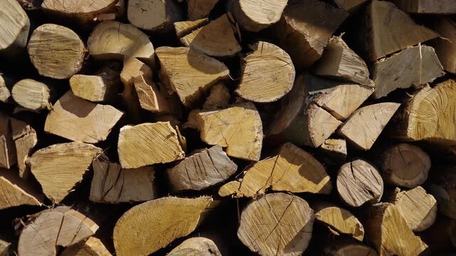 Wall of stacked chopped wooden logs and firewood.