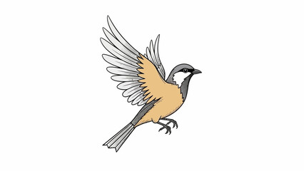 Fototapeta premium Small bird in flight, wings spread, detailed illustration, white background