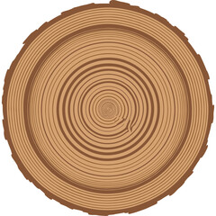 Fototapeta premium A close-up illustration of a tree stump section showing annual rings