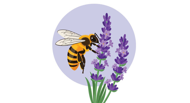 A bee collecting nectar from a lavender flower in a beautiful natural setting