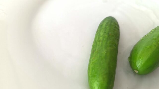 Cucumbers in splash of water with bubbles