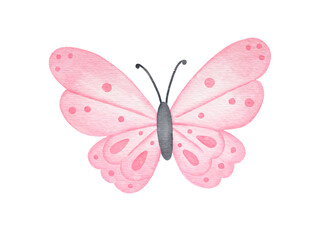 Pink Watercolor Butterfly Illustration © Mycreativee