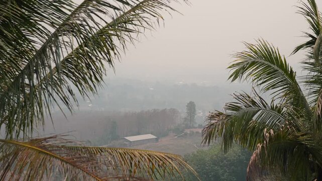 Forest fires and prolonged lack of rain during dry season in hot tropical climate in Northern Thailand leading to smog and heavy air pollution in rural areas and cities, natural catastrophe in Asia.