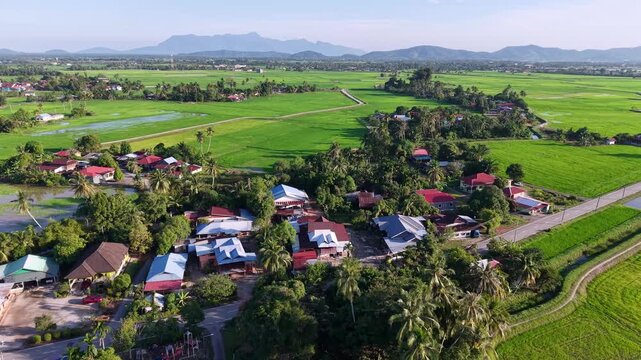 Aerial view Kampung Agong rural village and ricefields