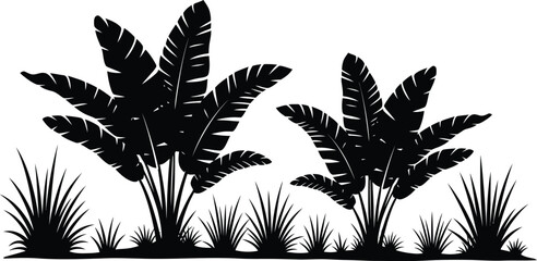 Tropical banana trees silhouettes with grass border jungle foliage design © MD. MASUD R ANA