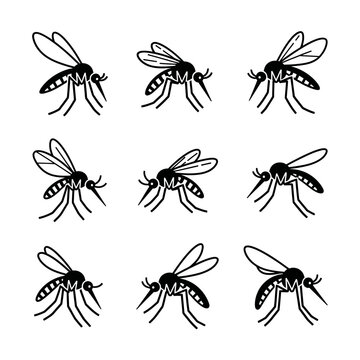 Mosquitoes Illustration: Set of 9 Black and White Vector Graphics