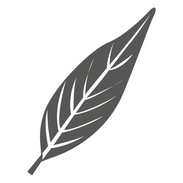 Oblanceolate leaf line style