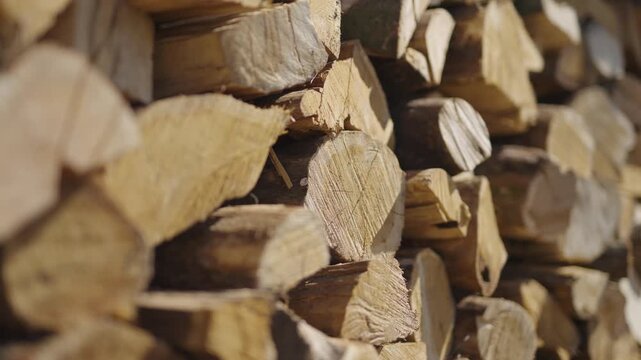 Wall of stacked chopped wooden logs and firewood.