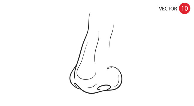 Human Nose Vector Line Art Illustration. Simple black and white profile view drawing of a facial feature for anatomy and beauty concepts.