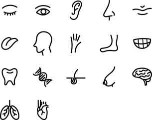 Fototapeta premium Human Anatomy Line Icons Set for Medical and Healthcare Use