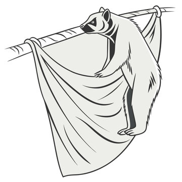 A detailed black and white illustration depicts a sloth hanging upside down from a thick curved branch showcasing its unique adaptation
