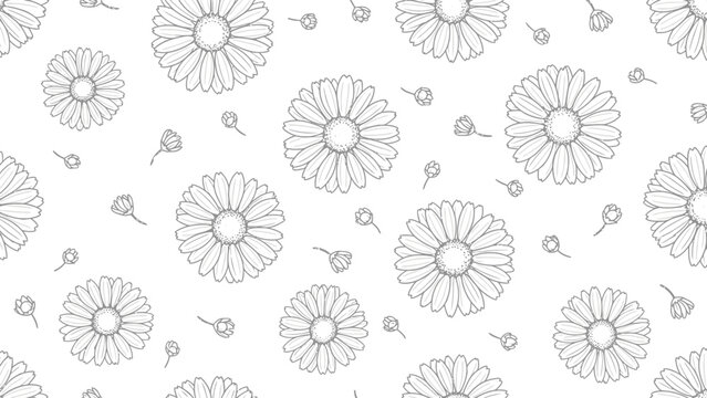 Black and White Floral Pattern.