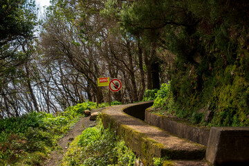 Madeira levada trail with AVISO signs and mossy channel in laurel forest © Ekaterina