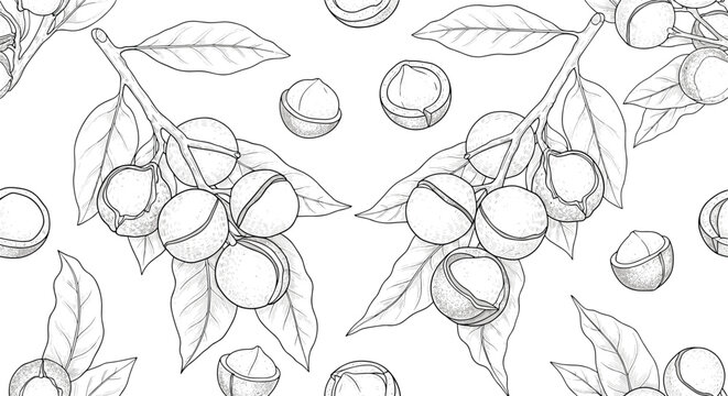 Botanical seamless pattern featuring hand drawn macadamia nuts on branches with leaves and kernels in black and white.