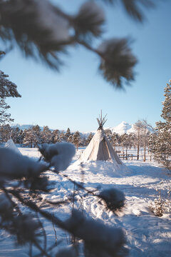 Traditional Sami lavvu tent standing in snowy Arctic landscape at sunrise. Warm light contrasts cold winter scene, capturing Nordic culture, wilderness and peaceful remote environment