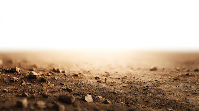 A close-up view of a dry, dusty ground with small rocks; evokes a sense of arid landscape and natural textures.