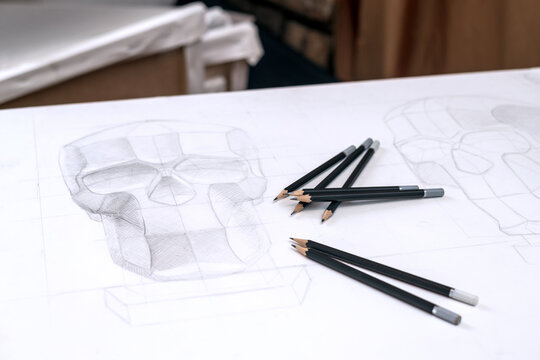 A drawing of a human skull done in pencil on white paper. Student work by an artist and designer. 