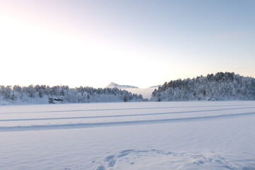 Fototapeta premium Snow-covered forest along lake in Northern Norway, wrapped in dense fog