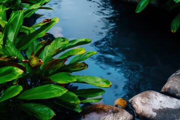 Naklejka premium 静かな場所にある緑の植物の近くに水が流れています