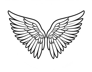 Fototapeta premium A symmetrical drawing of two spread wings with curved edges and detailed feather structure. Outlined with a black stroke