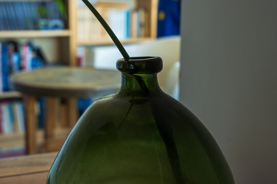 Olive green glass demijohn with leaf, indoor still life in Madeira
