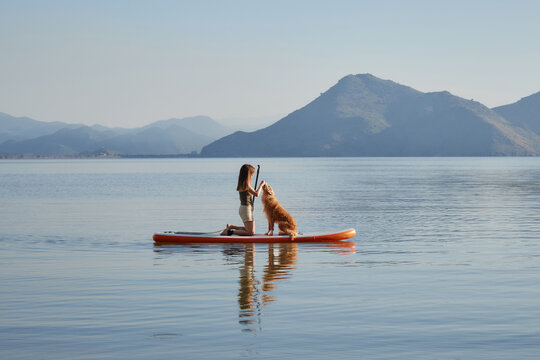 A woman kneels next to her two dogs on a board as they pause on the calm water. Nova Scotia Duck Tolling Retriever and Jack Russell Terrier share the space quietly.