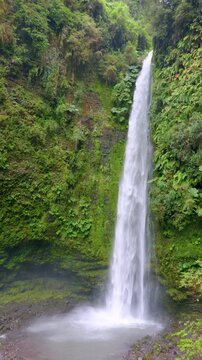 Puerto Octay, Chile - February 22, 2026: Salto las Cascadas is a 50-meter waterfall surrounded by native forest. It is located near the town of Las Cascadas, on the shores of Lake Llanquihue.