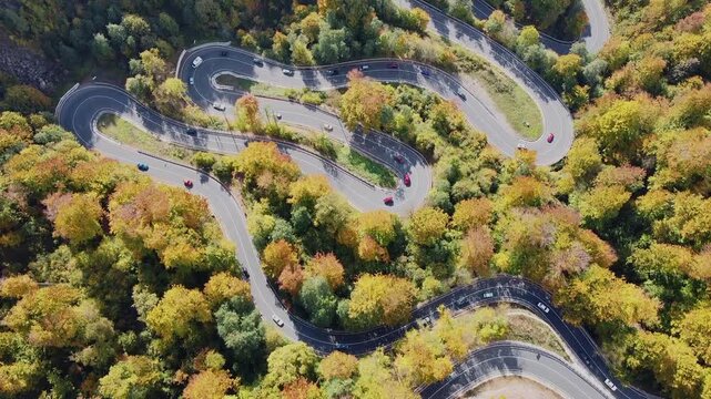 Aerial drone video of a winding road through Maramureș, Romania, surrounded by autumn forest in warm sunlight, showcasing vibrant fall colors and scenic countryside