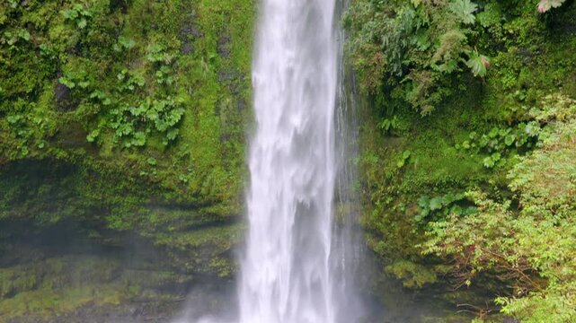 Puerto Octay, Chile - February 22, 2026: Salto las Cascadas is a 50-meter waterfall surrounded by native forest. It is located near the town of Las Cascadas, on the shores of Lake Llanquihue.