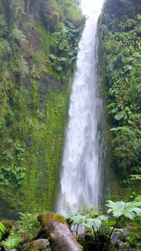 Puerto Octay, Chile - February 22, 2026: Salto las Cascadas is a 50-meter waterfall surrounded by native forest. It is located near the town of Las Cascadas, on the shores of Lake Llanquihue.