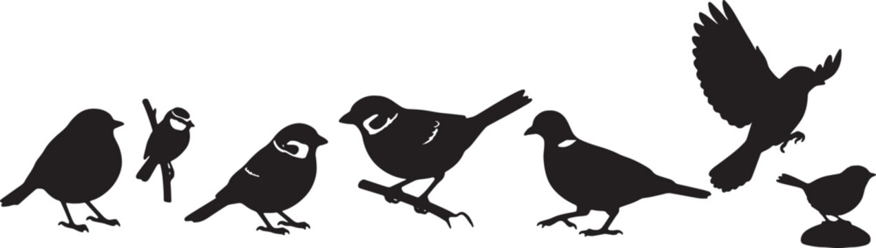 black silhouettes of various birds on white background