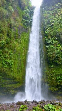Puerto Octay, Chile - February 22, 2026: Salto las Cascadas is a 50-meter waterfall surrounded by native forest. It is located near the town of Las Cascadas, on the shores of Lake Llanquihue.