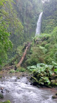 Puerto Octay, Chile - 22 de febrero de 2026: R&iacute;o Blanco Las Cascadas y Salto Las Cascadas al fondo, rodeados de bosque nativo. Se ubica cerca del pueblo de Las Cascadas.