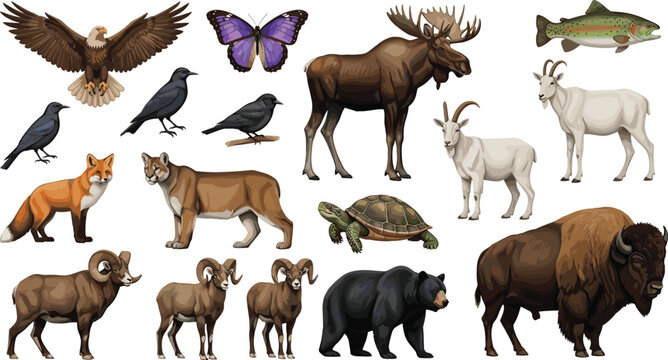 Wild Forest Animals Vector Illustration Set Featuring Moose, Bison, Bear, Fox, Goat, Sheep, Birds, Turtle, Fish, and Butterfly in Detailed Natural Style.