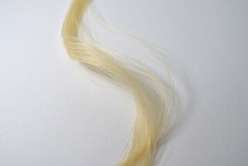 Mèche de cheveux blonds © Anthony SEJOURNE