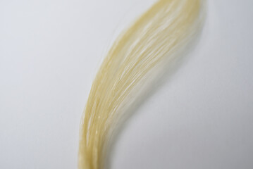 Mèche de cheveux blonds © Anthony SEJOURNE