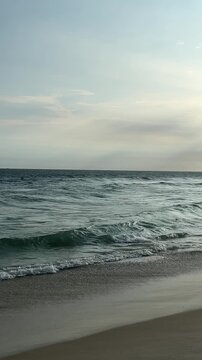 Seagull Flying Over Ocean Waves at Calm Beach