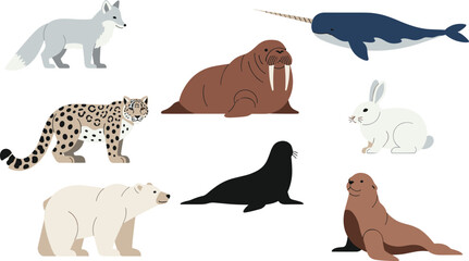 Arctic and Marine Animals Vector Illustration Set Featuring Polar Bear, Seal, Walrus, Narwhal, Arctic Fox, Leopard, Rabbit, and Sea Lion in Flat Style. © MstSuborna