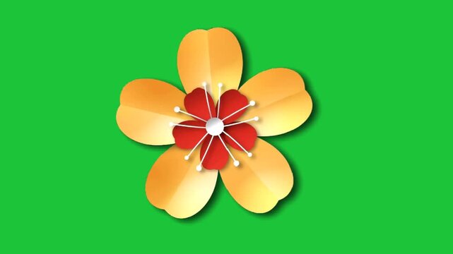 colorful yellow flower with red center on green background simple animation loop for nature design concept