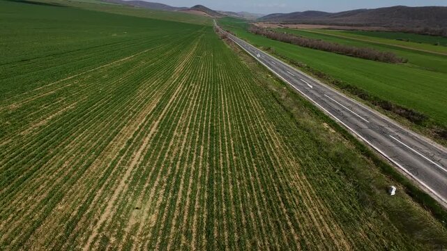 FPV drone footage flying above vast green farmland, tracking a straight rural highway and intersection stretching to the horizon; minimalist aerial landscape under clear sky.